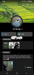 My Báo k7
